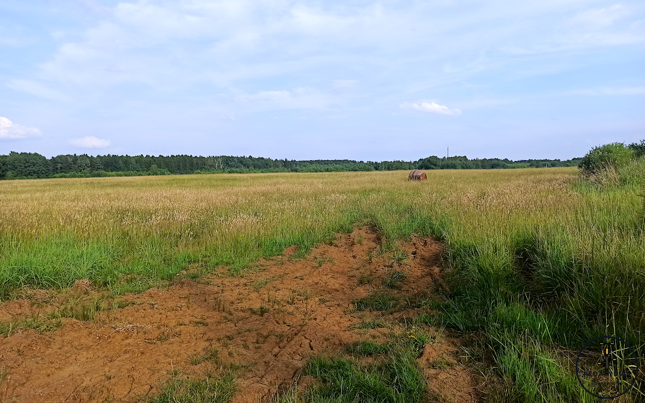 Konopiska Airstrip